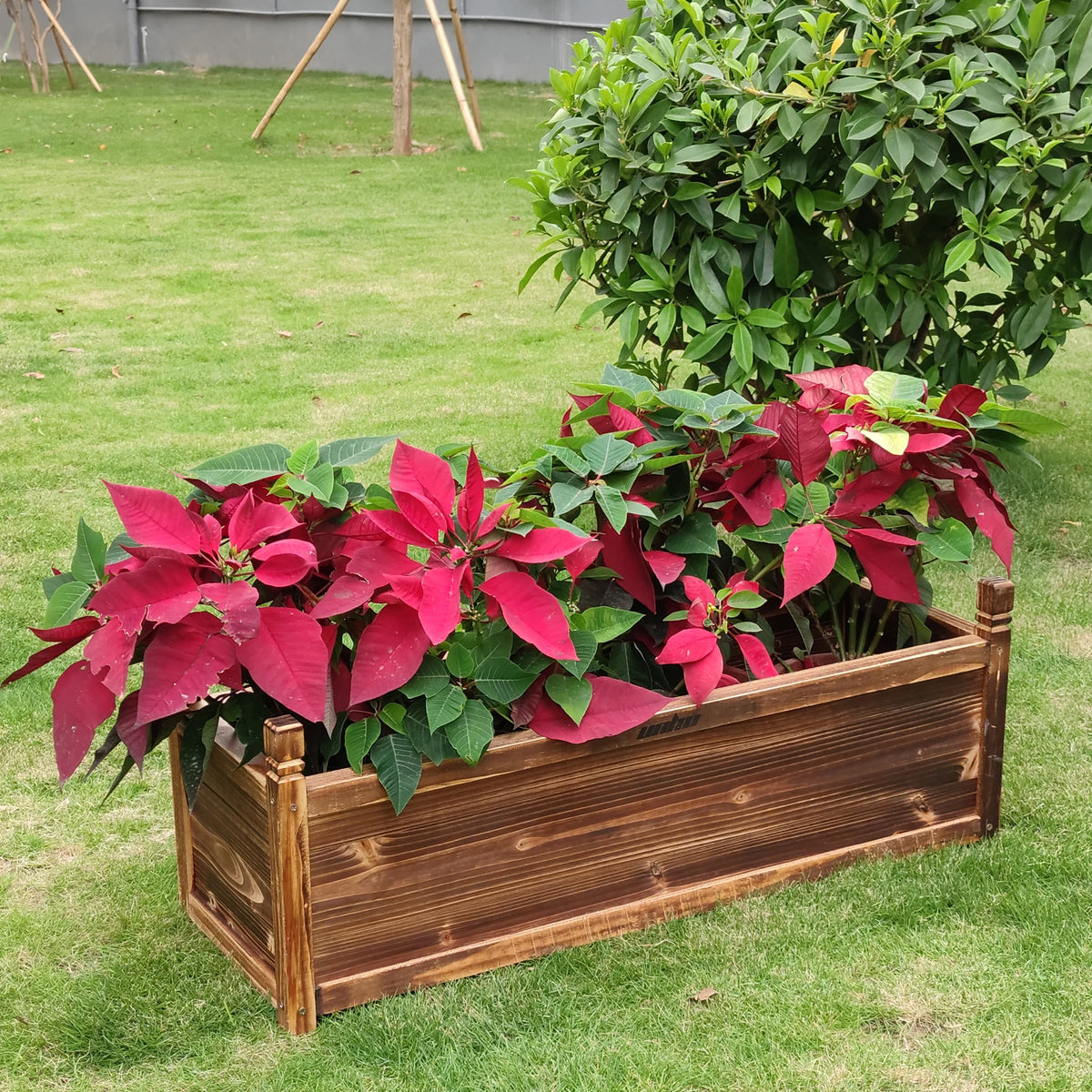 Large Wooden Raised Garden Planter Box