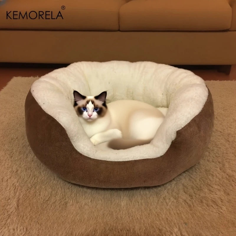 Plush Cat & Small Dog Bed with Backrest