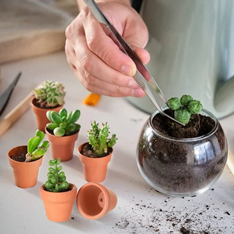 50-Pack Mini Terracotta Pots with Drainage Holes | 3.3 cm