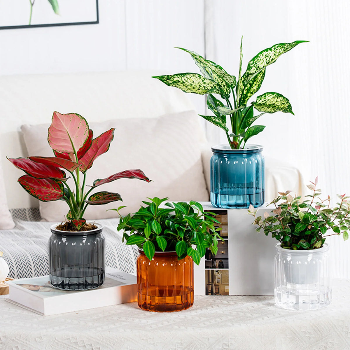 Transparent Self-Watering Planter Pot with Reservoir