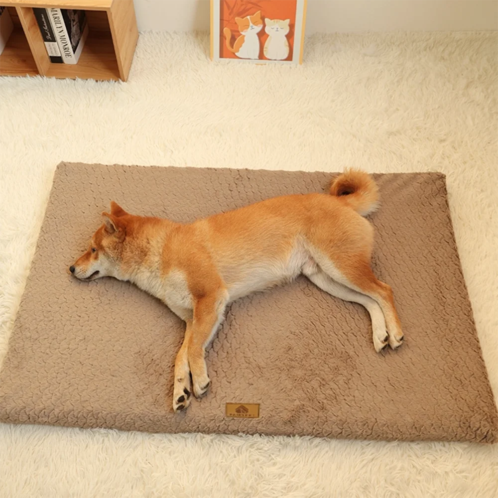 Foam Dog Bed with Washable Cover & Textured Base