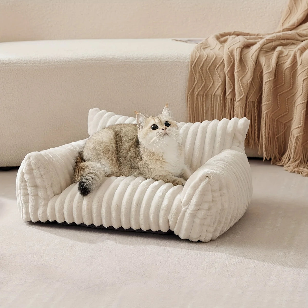 Plush Cat Sofa Bed with Raised Sides | Soft Pet Cushion