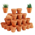 50-Pack Mini Terracotta Pots with Drainage Holes | 3.3 cm