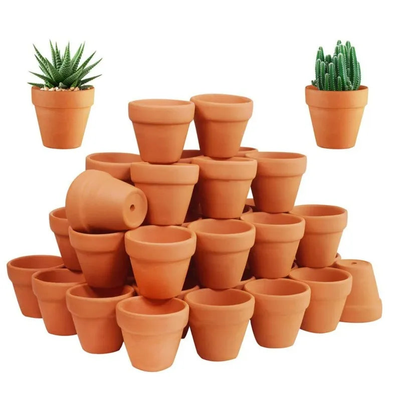50-Pack Mini Terracotta Pots with Drainage Holes | 3.3 cm