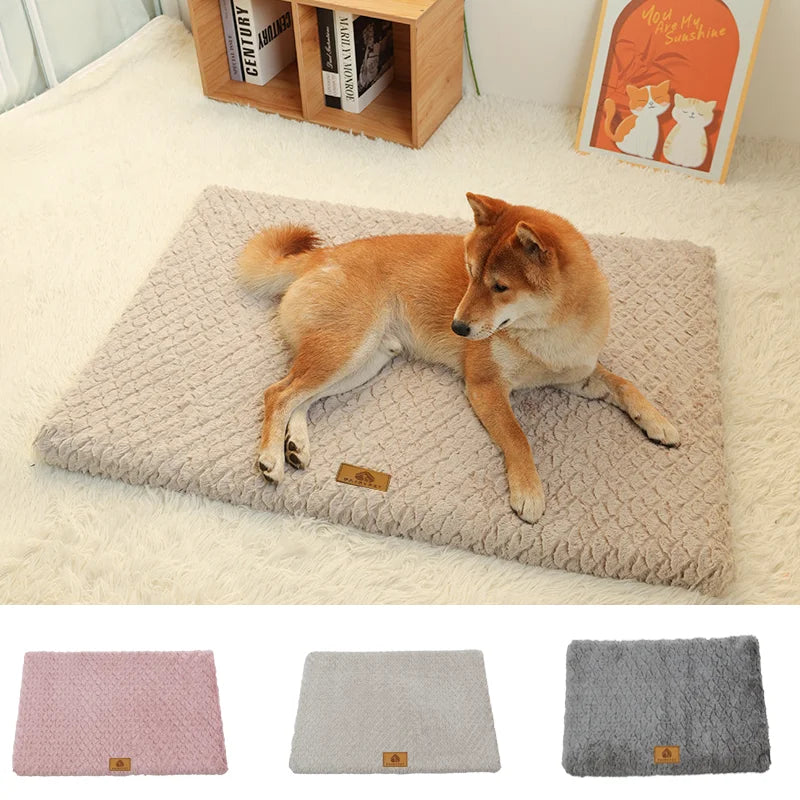 Foam Dog Bed with Washable Cover & Textured Base