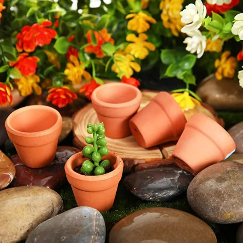 50-Pack Mini Terracotta Pots with Drainage Holes | 3.3 cm