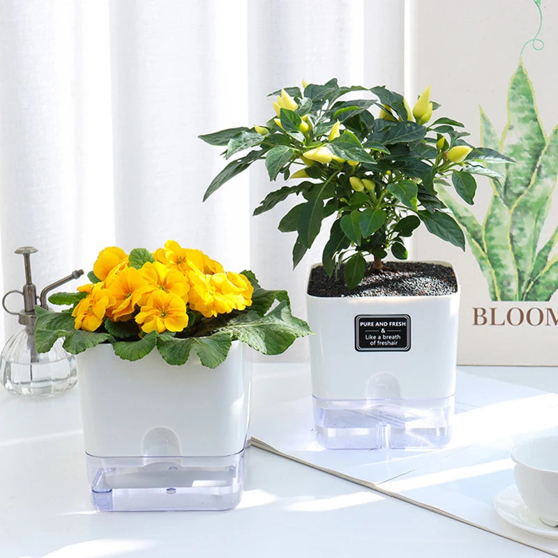 Self-Watering Planter Pot with Cotton Wick | Square or Rectangle