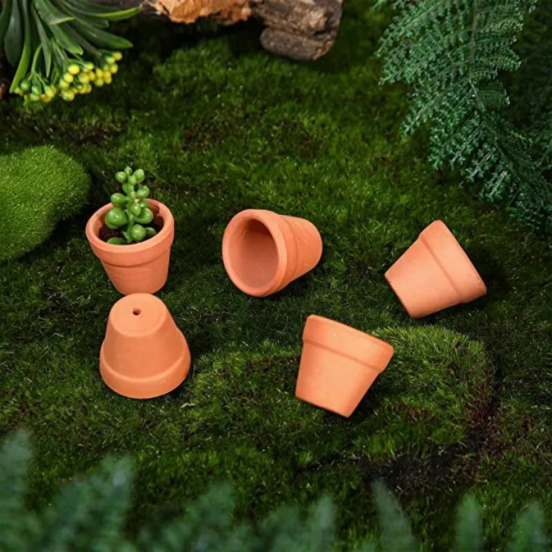 50-Pack Mini Terracotta Pots with Drainage Holes | 3.3 cm