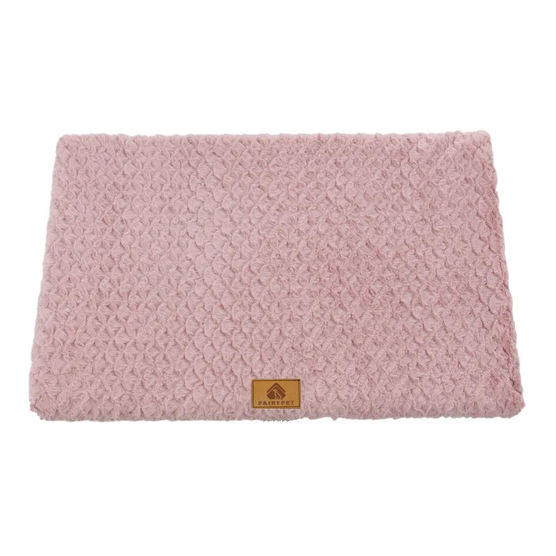 Foam Dog Bed with Washable Cover & Textured Base