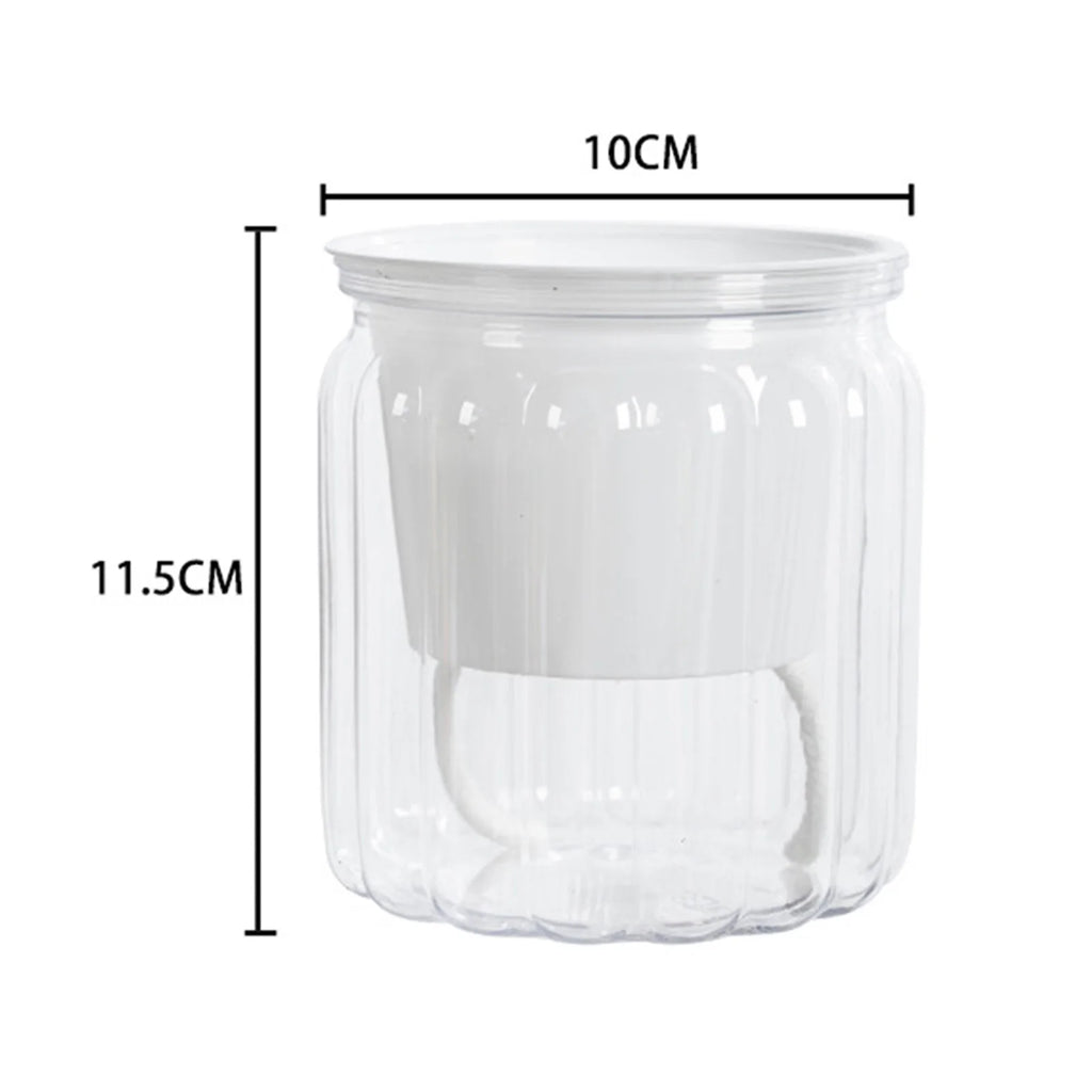 Transparent Self-Watering Planter Pot with Reservoir