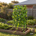 A-Frame Garden Trellis with Netting for Climbing Plants styled in a warm home setting